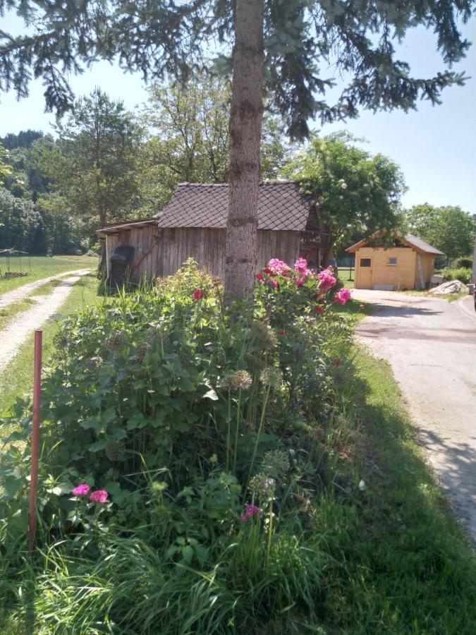 Sobe Zeleni Raj Lägenhet Podnart Exteriör bild